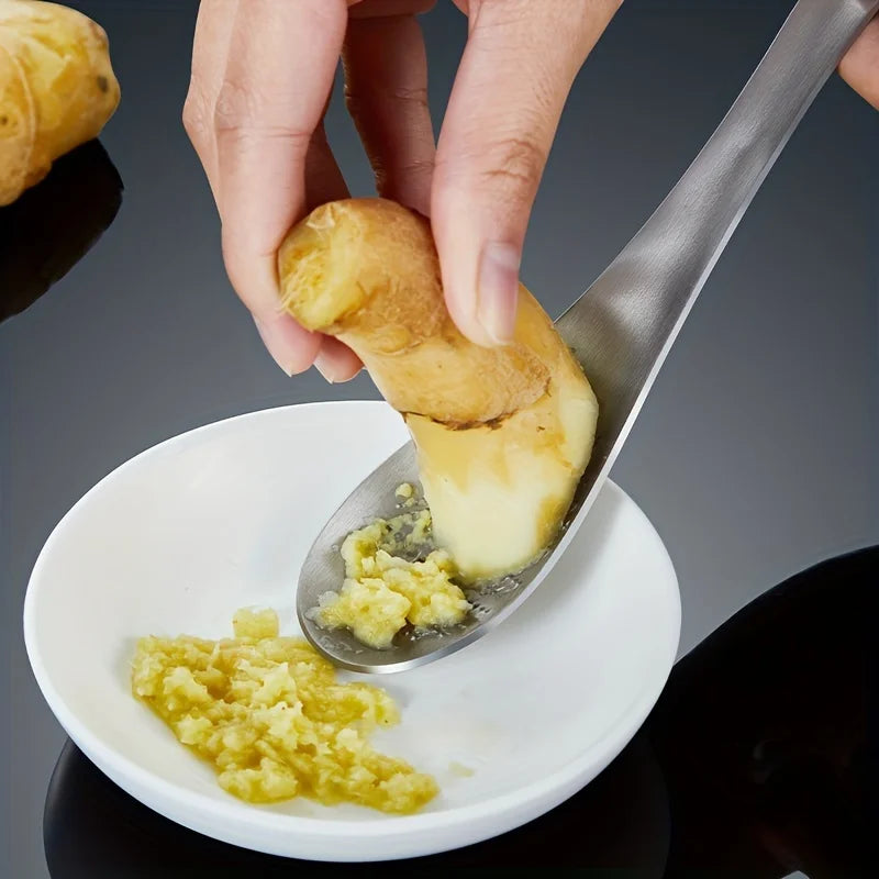 Stainless Steel Garlic Ginger Fruits Root Vegetable Grater Grinder Spoon for Kitchen