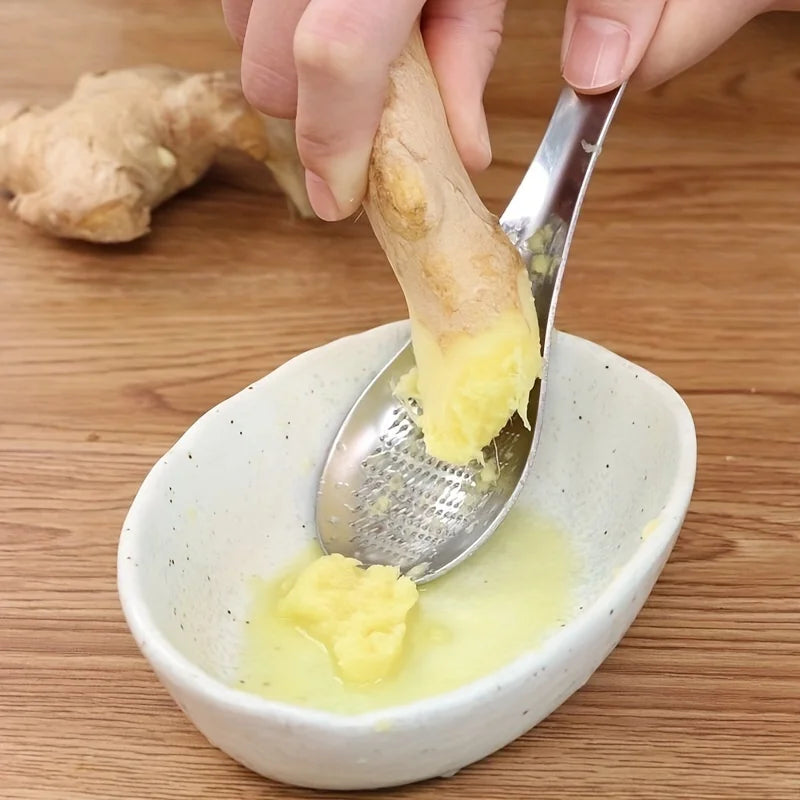 Stainless Steel Garlic Ginger Fruits Root Vegetable Grater Grinder Spoon for Kitchen