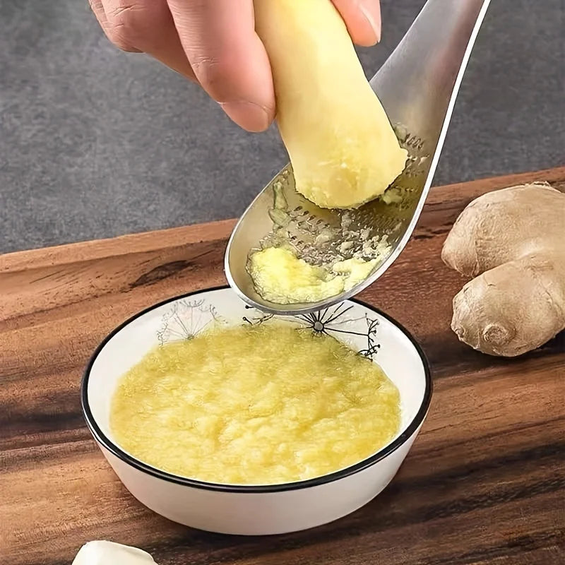 Stainless Steel Garlic Ginger Fruits Root Vegetable Grater Grinder Spoon for Kitchen